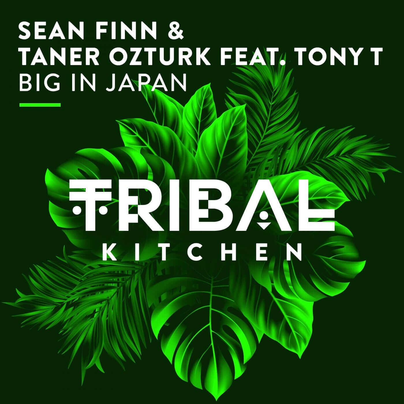 Рингтон Sean Finn & Taner Ozturk feat. Tony T - Big In Japan